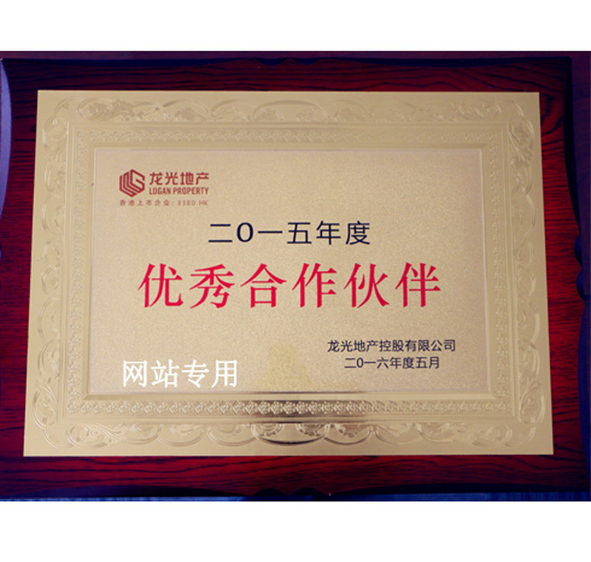 2015优秀合作伙伴